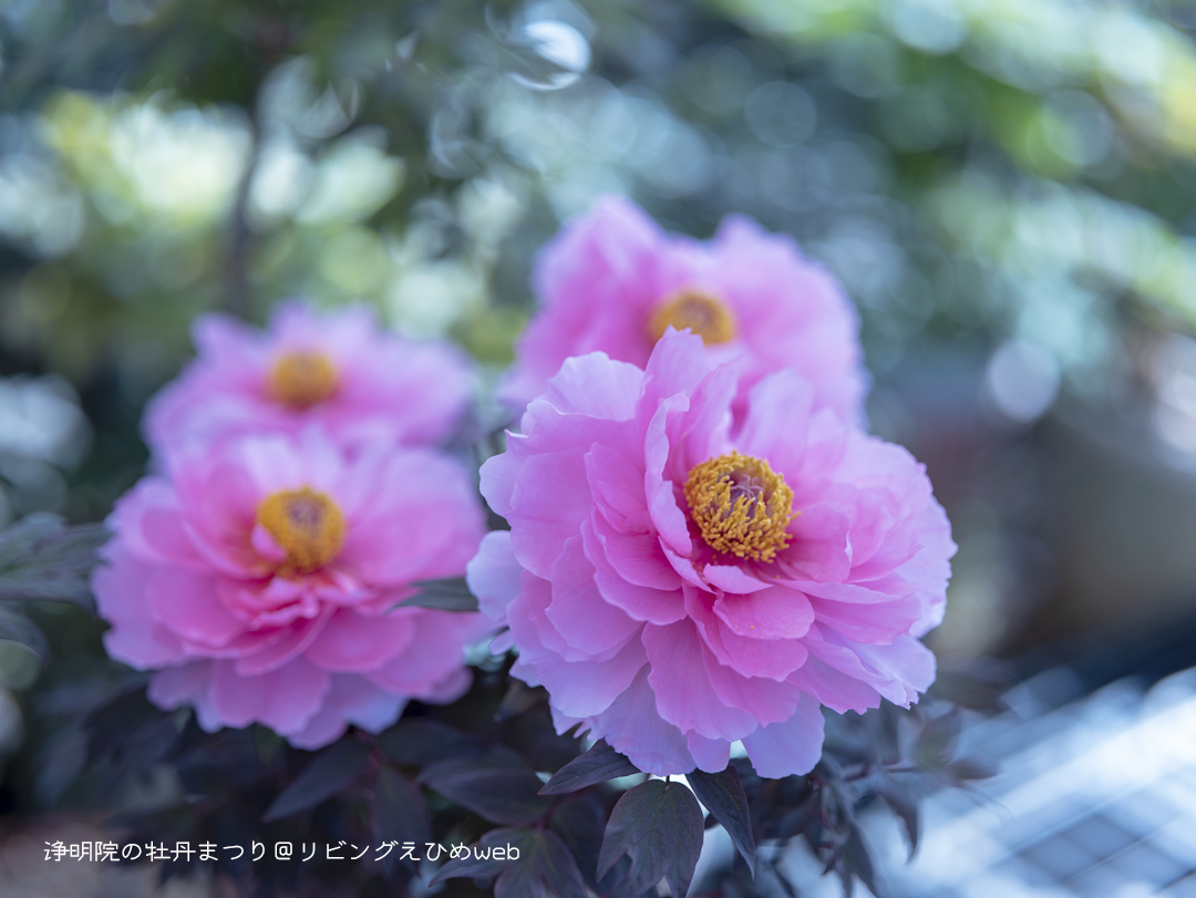 natuorhythm8