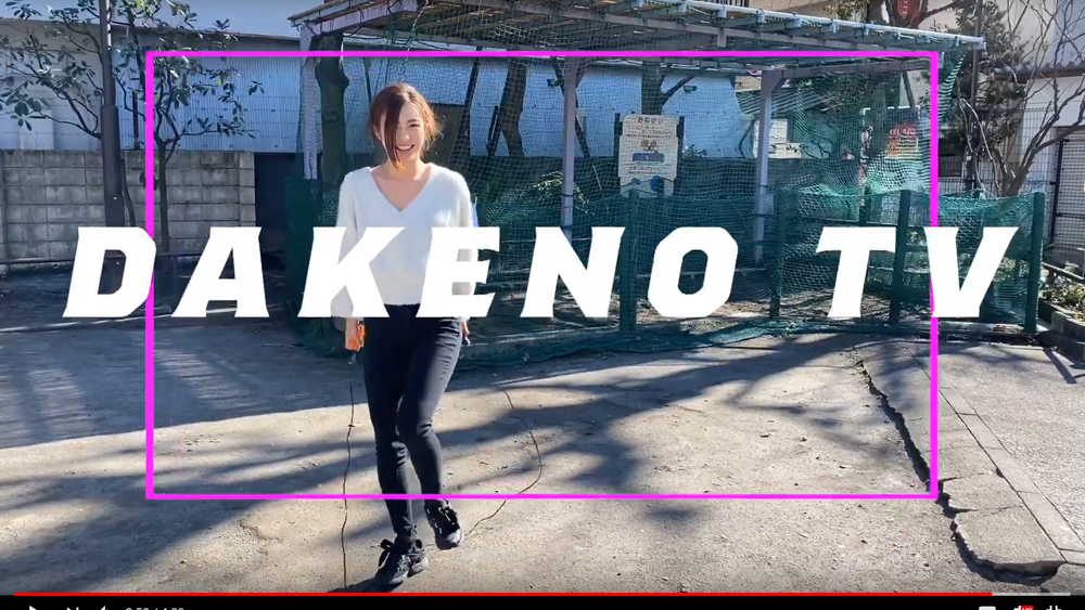 dakeno-40