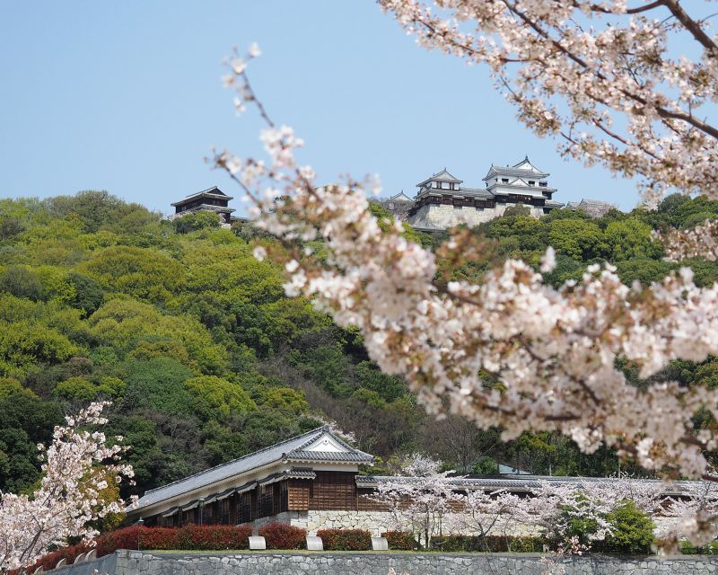 mej2018-ehime3