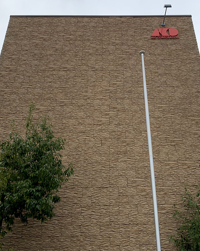 mej-image50