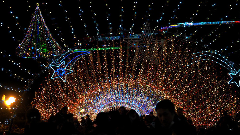 miyagase-xmas14