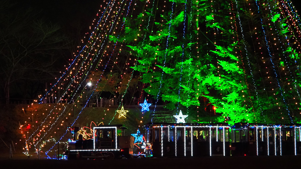 miyagase-xmas19
