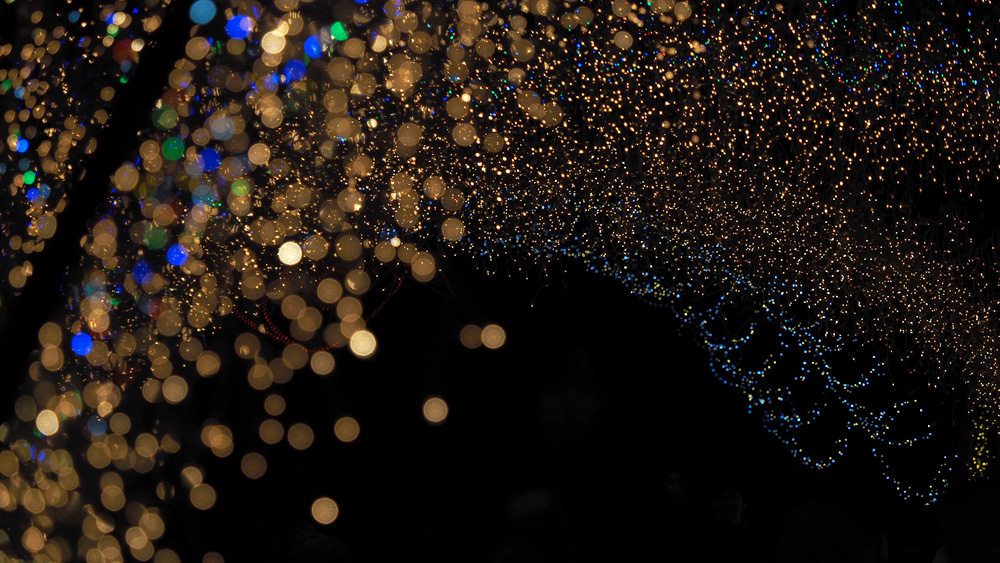 miyagase-xmas21