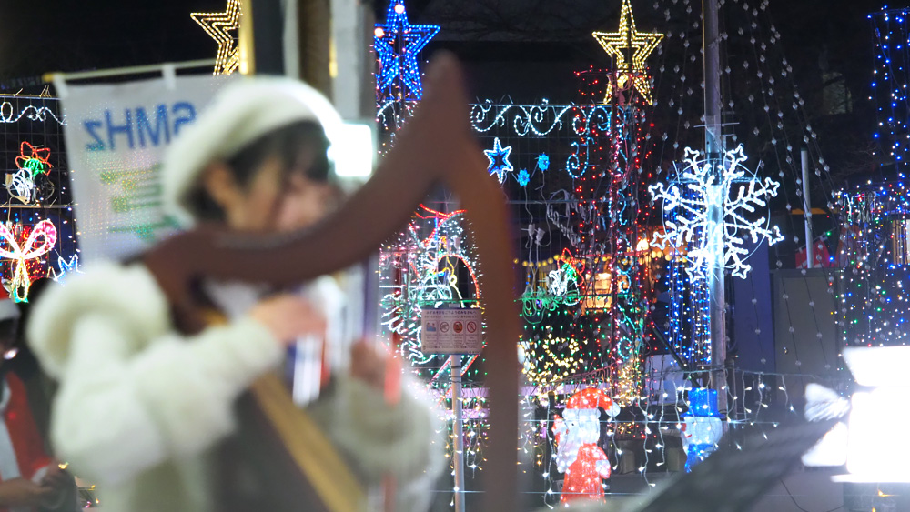 miyagase-xmas24