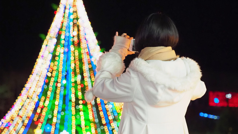 miyagase-xmas28