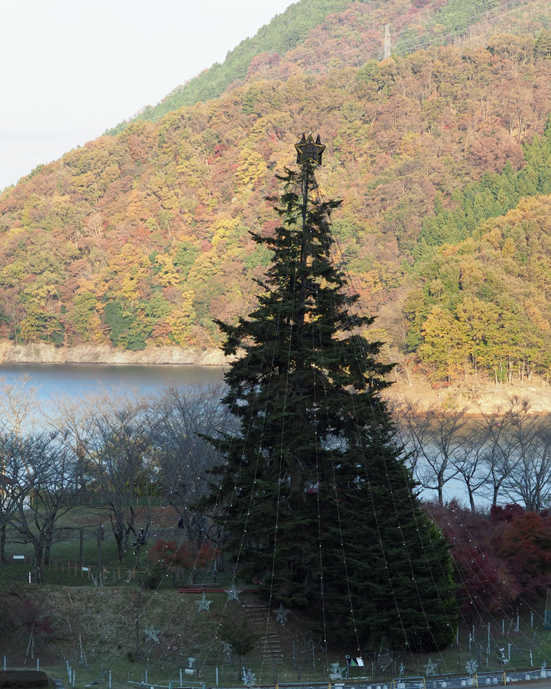miyagase-xmas4