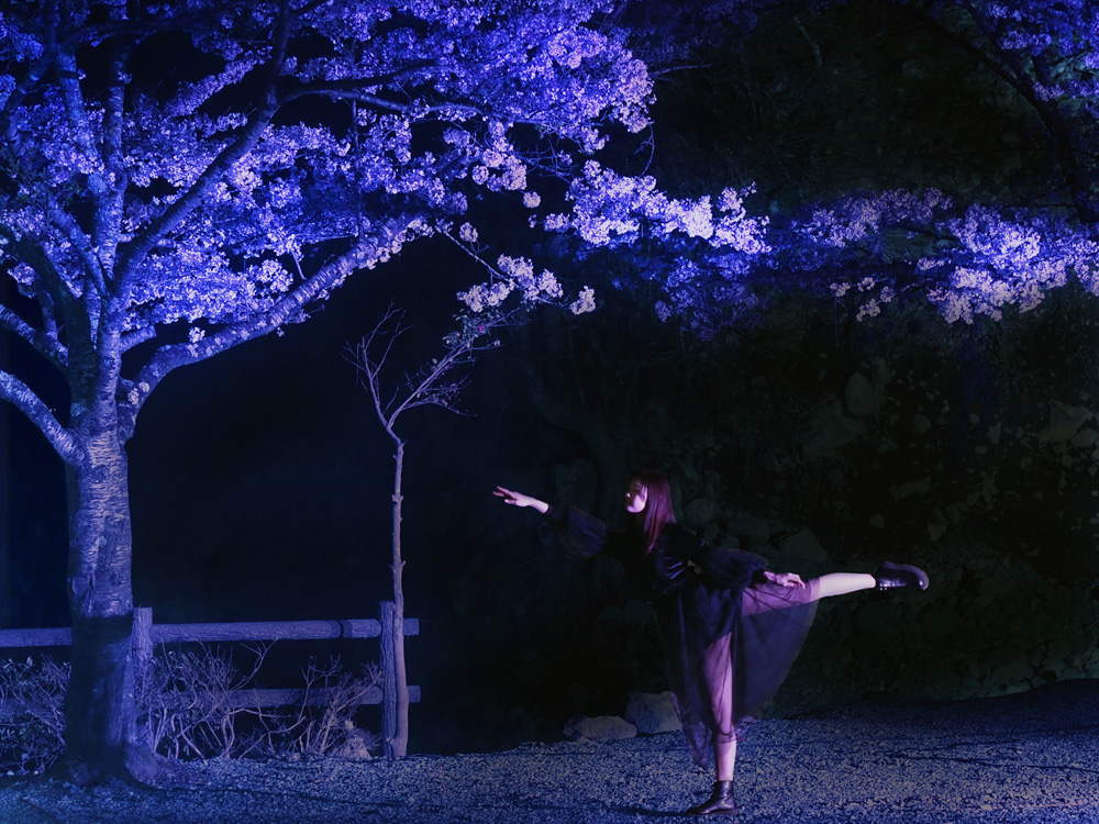 sakura-22