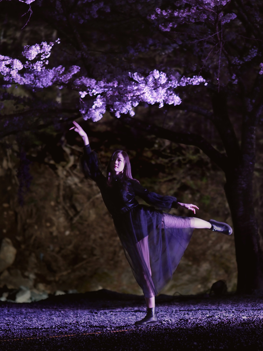 sakura-23