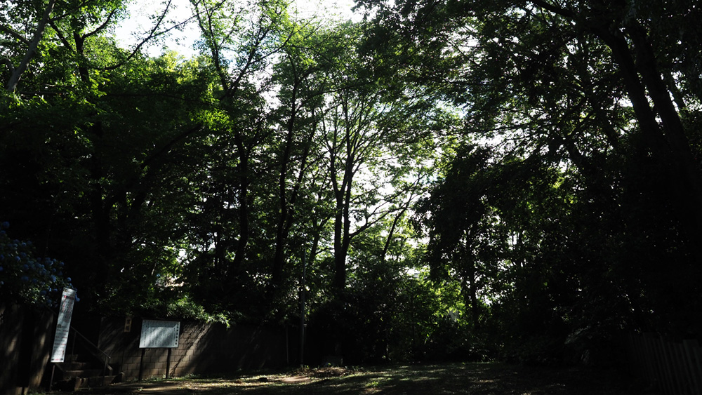 takeshino-3