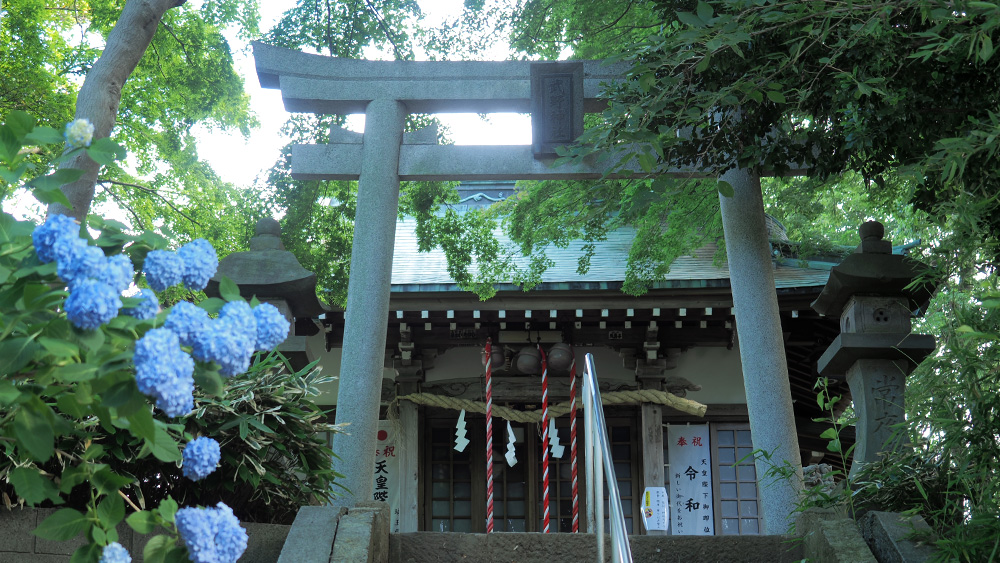 takeshino-4