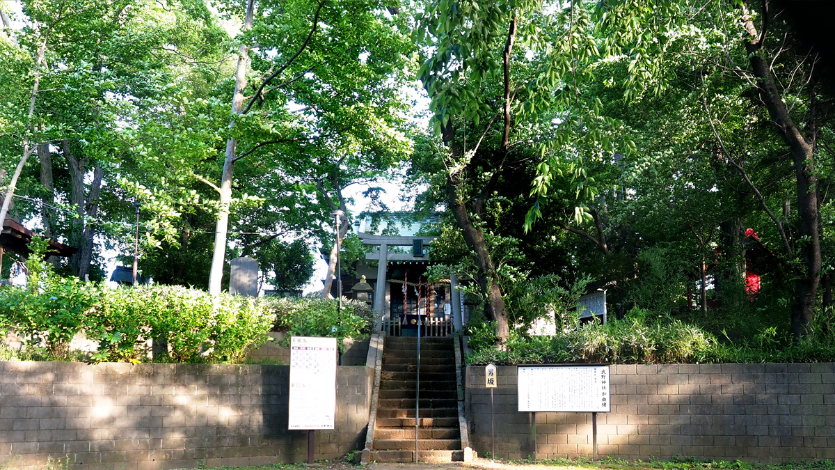 takeshino-5