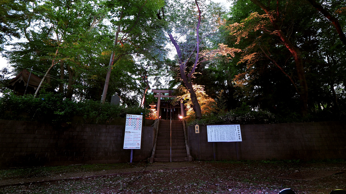 takeshino-6