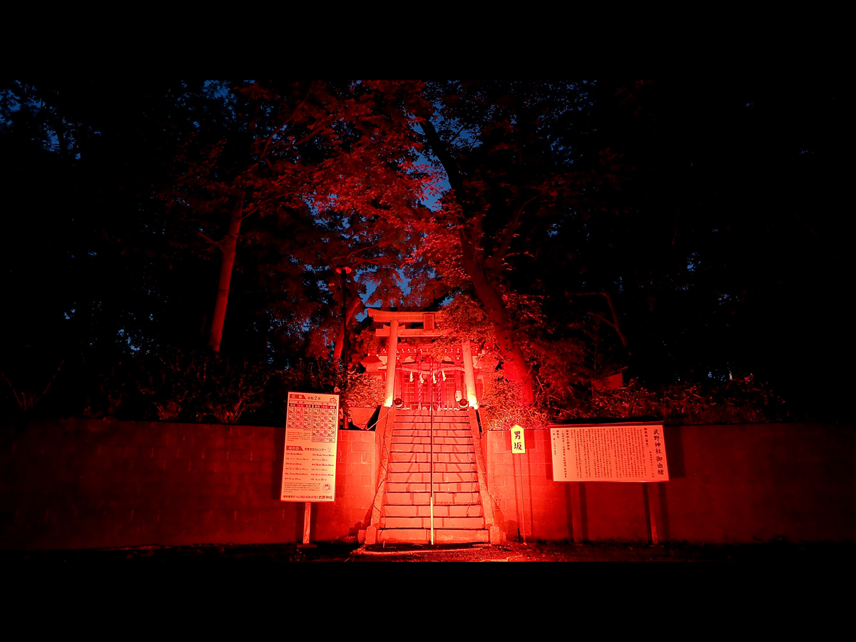 takeshino-8