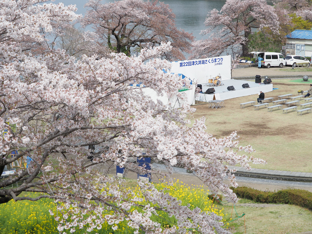 津久井湖さくらまつり20193